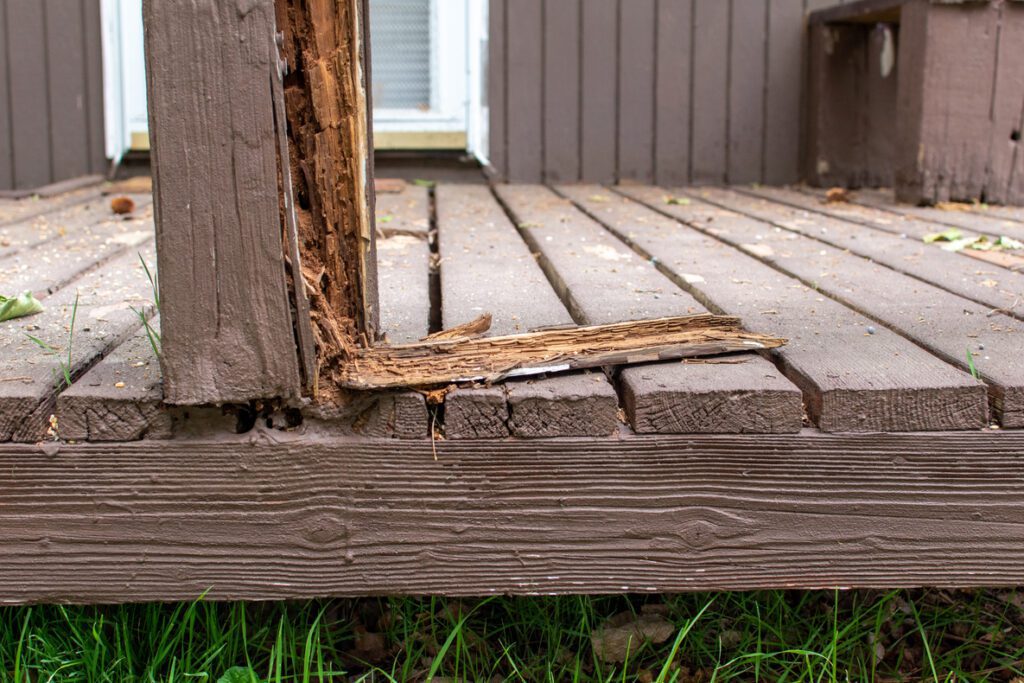 Wood Rot & Dry Rot Repair