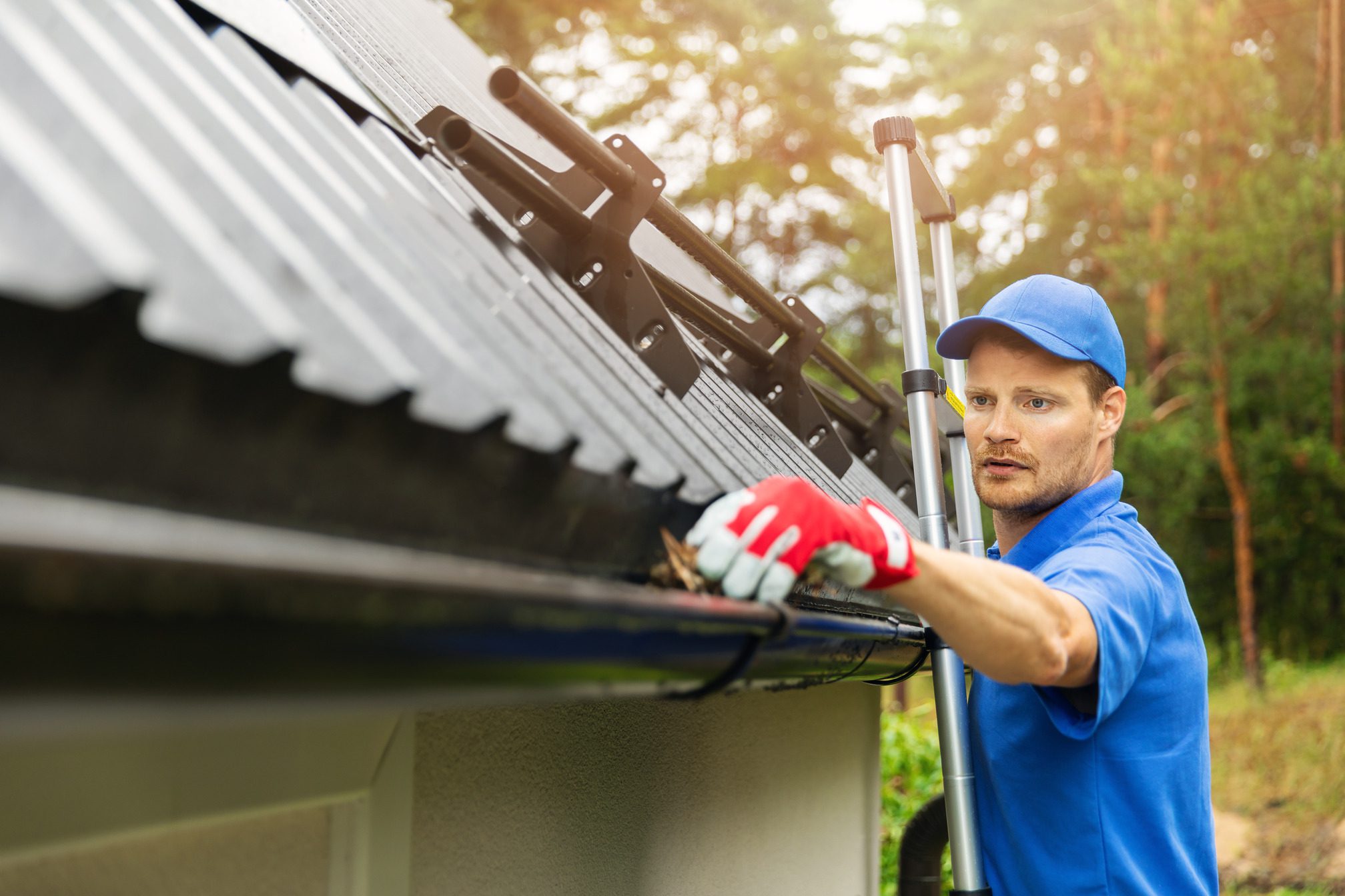 Home Maintenance Tips for Hawaii Homeowners